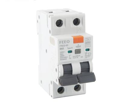 2P RCBO 63A Double Pole Circuit Breaker Overcurrent & Earth Leakage Protection